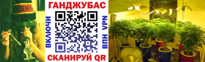 Бошки марихуана OG Kush  Купить где  Сафоново 